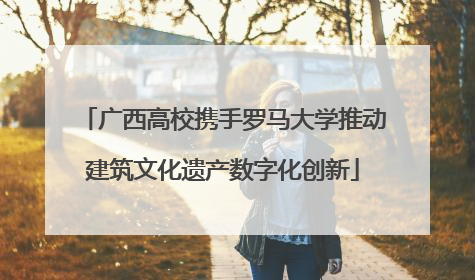 广西高校携手罗马大学推动建筑文化遗产数字化创新