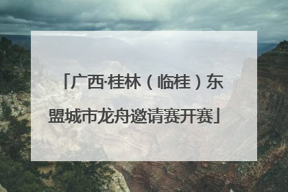 广西·桂林（临桂）东盟城市龙舟邀请赛开赛
