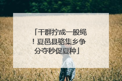 干群拧成一股绳！夏邑县骆集乡争分夺秒促夏种