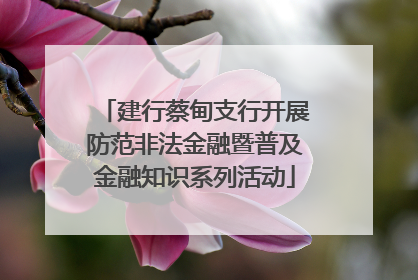 建行蔡甸支行开展防范非法金融暨普及金融知识系列活动