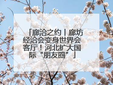 廊洽之约丨廊坊经洽会变身世界会客厅！河北扩大国际“朋友圈”