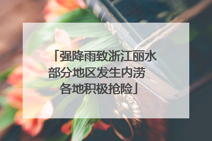 强降雨致浙江丽水部分地区发生内涝 各地积极抢险