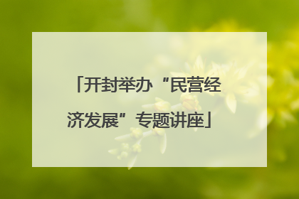 开封举办“民营经济发展”专题讲座
