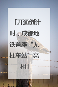 开通倒计时，成都地铁首座“无柱车站”亮相