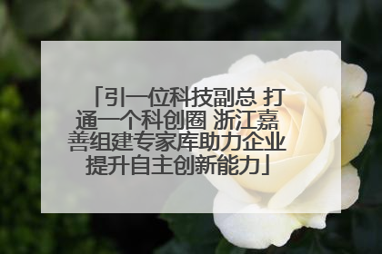 引一位科技副总 打通一个科创圈 浙江嘉善组建专家库助力企业提升自主创新能力