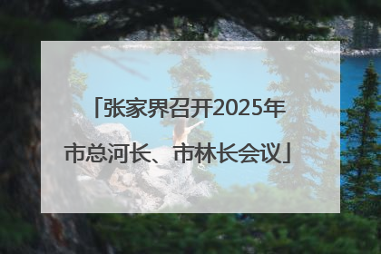 张家界召开2025年市总河长、市林长会议