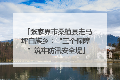 张家界市桑植县走马坪白族乡：“三个保障”筑牢防汛安全堤