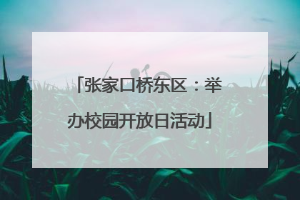 张家口桥东区：举办校园开放日活动