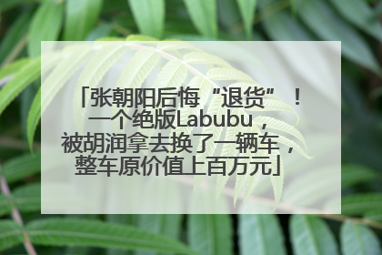张朝阳后悔“退货”！一个绝版Labubu，被胡润拿去换了一辆车，整车原价值上百万元