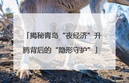 揭秘青岛“夜经济”升腾背后的“隐形守护”