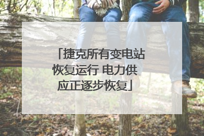 捷克所有变电站恢复运行 电力供应正逐步恢复