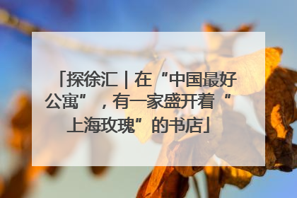 探徐汇｜在“中国最好公寓”，有一家盛开着“上海玫瑰”的书店