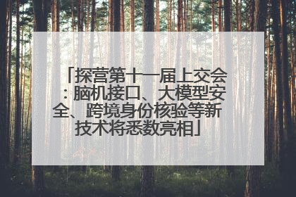探营第十一届上交会：脑机接口、大模型安全、跨境身份核验等新技术将悉数亮相