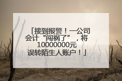 接到报警！一公司会计“闯祸了”，将10000000元误转陌生人账户！