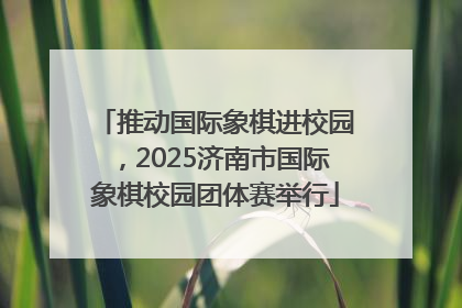 推动国际象棋进校园，2025济南市国际象棋校园团体赛举行