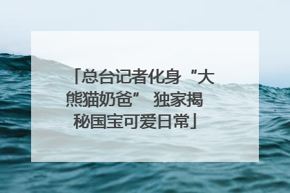 总台记者化身“大熊猫奶爸” 独家揭秘国宝可爱日常