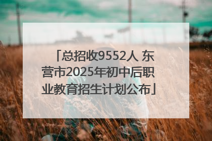 总招收9552人 东营市2025年初中后职业教育招生计划公布
