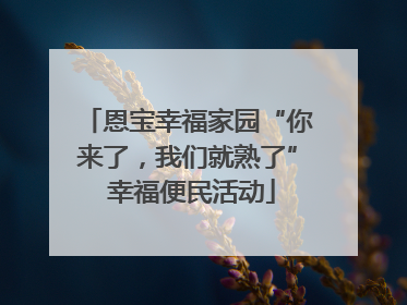 恩宝幸福家园“你来了，我们就熟了” 幸福便民活动