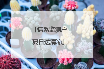 情系监测户 夏日送清凉