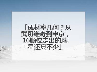 成材率几何？从武切维奇到申京，16顺位走出的球星还真不少
