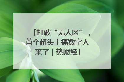 打破“无人区”，首个超头主播数字人来了｜热财经