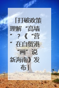 打破政策理解“高墙”？《“营”在自贸港 “画”说新海南》发布