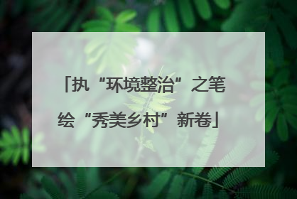 执“环境整治”之笔 绘“秀美乡村”新卷
