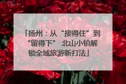 扬州：从“接得住”到“留得下” 北山小镇解锁全域旅游新打法