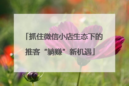 抓住微信小店生态下的推客“躺赚”新机遇