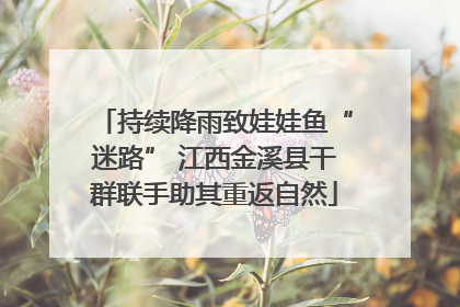 持续降雨致娃娃鱼“迷路” 江西金溪县干群联手助其重返自然
