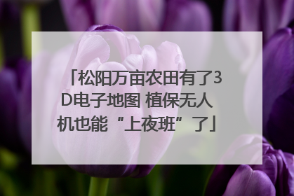松阳万亩农田有了3D电子地图 植保无人机也能“上夜班”了