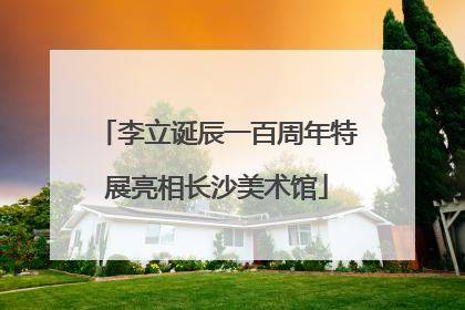 李立诞辰一百周年特展亮相长沙美术馆