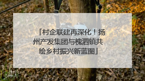 村企联建再深化！扬州产发集团与槐泗镇共绘乡村振兴新蓝图