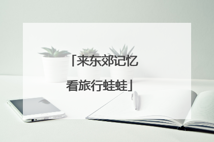 来东郊记忆 看旅行蛙蛙