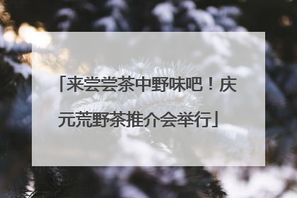 来尝尝茶中野味吧！庆元荒野茶推介会举行