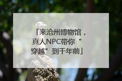 来沧州博物馆，真人NPC带你“穿越”到千年前