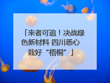 来者可追！决战绿色新材料 四川悉心栽好“梧桐”