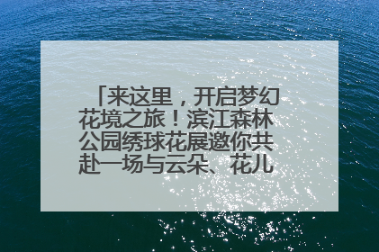 来这里，开启梦幻花境之旅！滨江森林公园绣球花展邀你共赴一场与云朵、花儿的浪漫之约