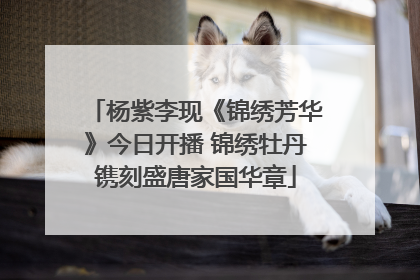 杨紫李现《锦绣芳华》今日开播 锦绣牡丹镌刻盛唐家国华章