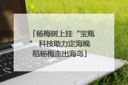 杨梅树上挂“宝瓶” 科技助力定海晚稻杨梅走出海岛