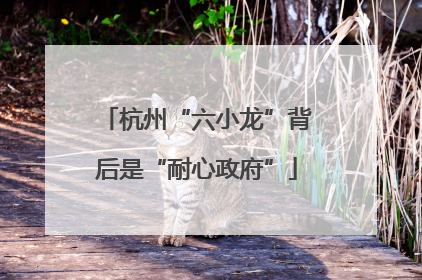 杭州“六小龙”背后是“耐心政府”