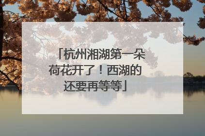 杭州湘湖第一朵荷花开了！西湖的还要再等等