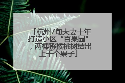 杭州7旬夫妻十年打造小区“百果园”，两棵猕猴桃树结出上千个果子