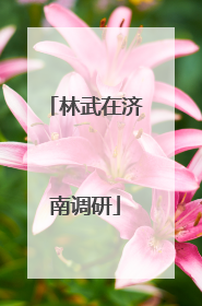 林武在济南调研