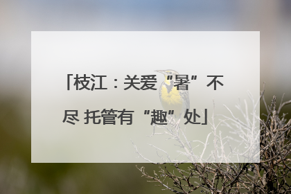 枝江：关爱“暑”不尽 托管有“趣”处