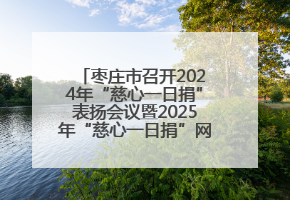枣庄市召开2024年“慈心一日捐”表扬会议暨2025年“慈心一日捐”网络募捐动员会议