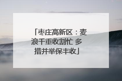枣庄高新区：麦浪千重收割忙 多措并举保丰收