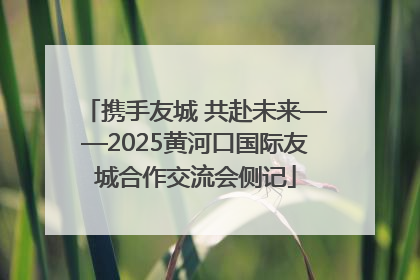 携手友城 共赴未来——2025黄河口国际友城合作交流会侧记