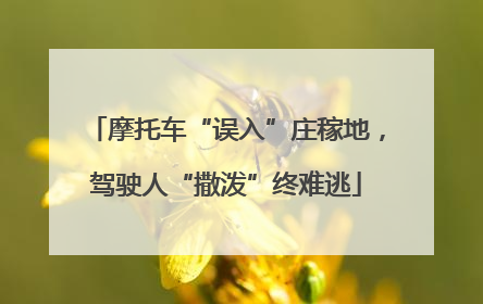 摩托车“误入”庄稼地，驾驶人“撒泼”终难逃