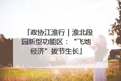 政协江淮行｜淮北段园新型功能区：“飞地经济”拔节生长